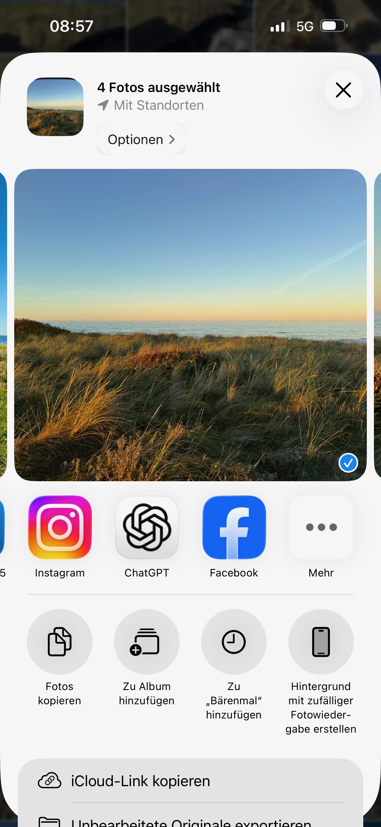 More button in share sheet